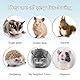 Hamsterrad 21 cm, Laufrad Hamster Leise Spinner, Hamstertrainingsrad, Hamster Spinner, Leise Hamster Spielzeug Transparent, Hamster Rad Kunststoff für Eichhörnchen Chinchillas Rennmäuse
