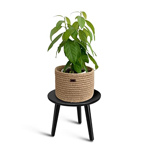 Uneedem Indoor Plant Stand, Modern Plant Table 8.9' Tall Wood Mid Century Flower Holder Small Round Side End Table