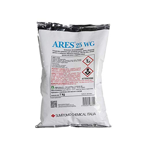 Sumitomo - Ares 25 WG Fungicida Sistemico Tebuconazolo 1Kg