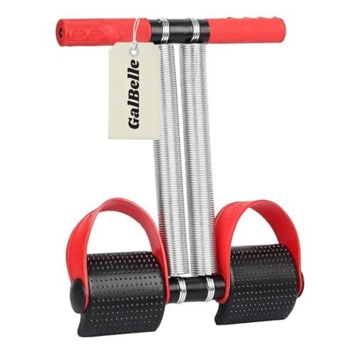 Double Spring Tummy Trimmer for Women & Men | For Home Gym | Abs Workout, Stomach Exercise | For Abdominal, Belly Exercise Waist Trimmer | Weight Loss Equipment | 27.5 x 8.4 x 24.3 cm (Red)