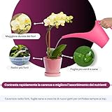 GebEarth B0B883N9G2 lato 3