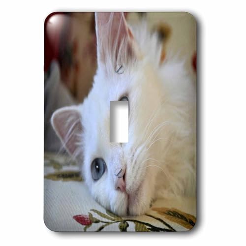 Interrupteur à baïonnette 3dRose LSP_52679_1 Relaxed Van Cat finition durable