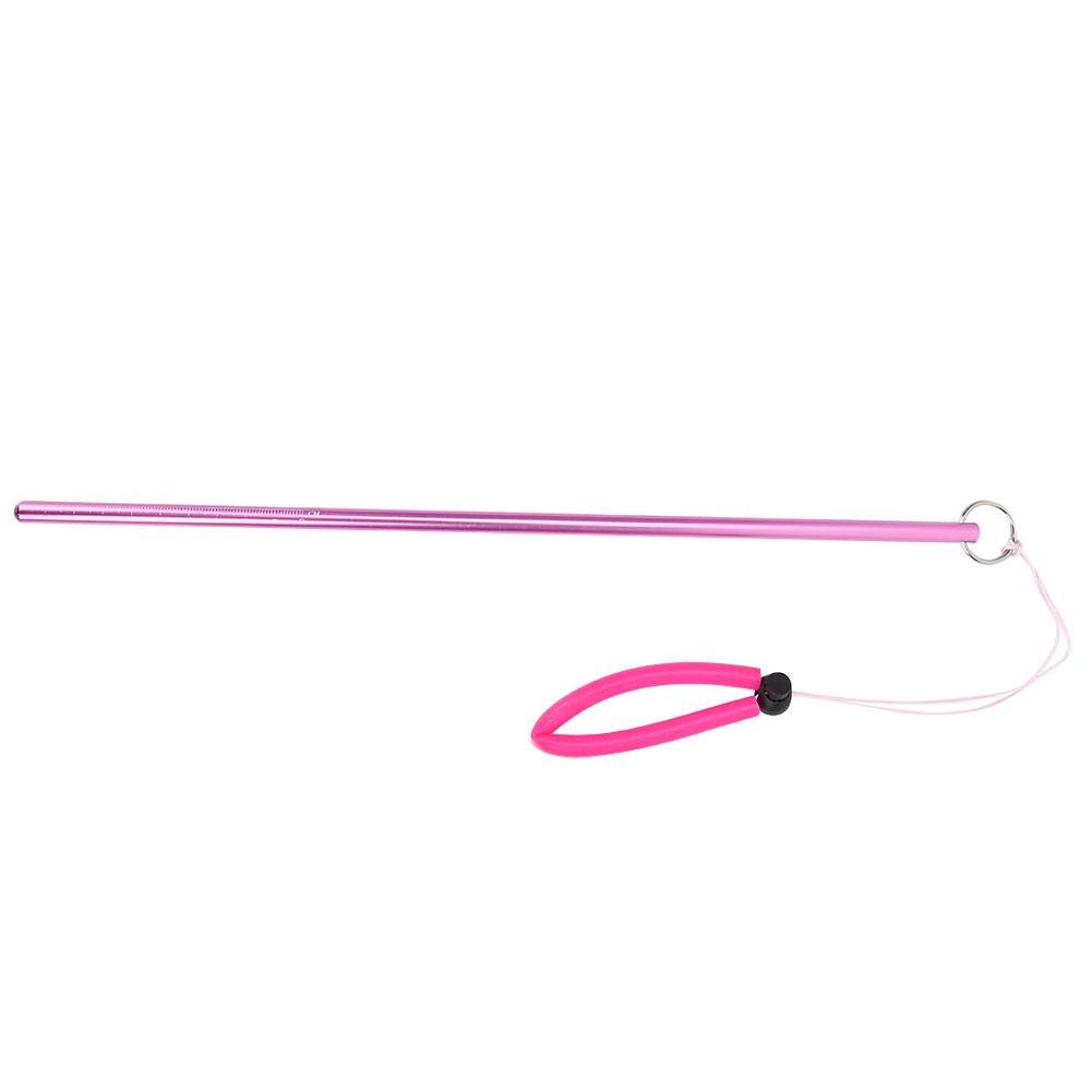 Pointeur De Plongée En Alliage D'aluminium 35 Cm - Avec Lanière Et échelle 10 Cm - Pour Signaler, Mesurer, Tapoter