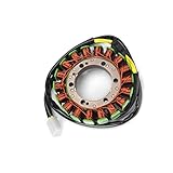 La bobina del estator genera corriente alterna bajo la rotación del rotor del generador, que se utiliza para el encendido, la carga y la iluminación del vehículo, etc. para garantizar el funcionamiento de la motocicleta.