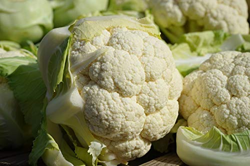 Kejora Fresh Cauliflower - 2 Count - Thumbnail 3
