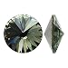 SWAROVSKI Crystal, 1122 Rivoli Fancy Stones 12mm, 4 Pieces, Black Diamond Foiled