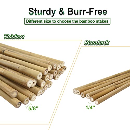 20pcs 5/8" D Thicker Heavy Duty Bamboo Stakes, 6FT Plant Stakes, Natural Garden Stakes for Tomato, Bean, Flowers,Trees Potted and Climbing Plant Support