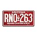 The Fast and the Furious | Paul Walker’s Green Eclipse | RNO 263 | Metal Stamped Vanity Prop License Plate
