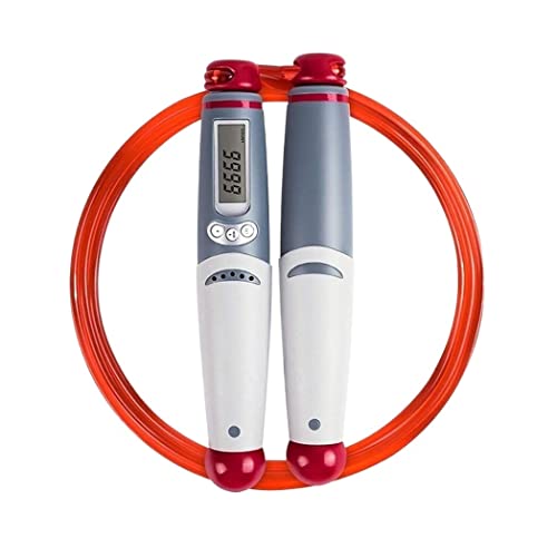 ꒵ ꒵ JEg꒵ fW^JE^[ /OtBbglXg[jO {NVO ꒵ [NAEg ꒵ lp (b\)