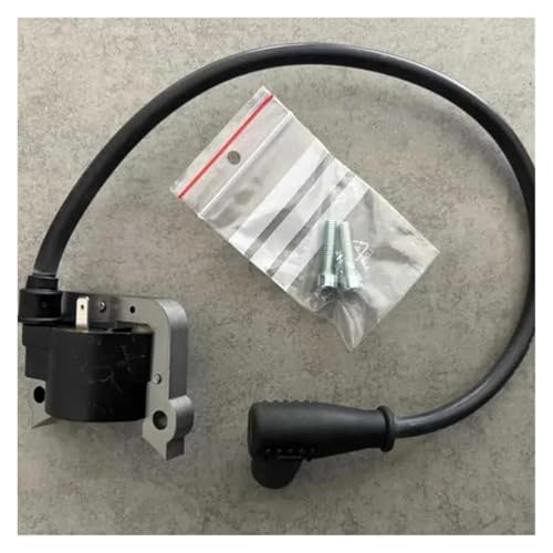 YUNGONG �݊��C�O�j�b�V�����R�C�� Vittorazi Monster 185Plus MY19 MY20 MY22 MY25 184.7cc �p�����[�^�[(IT Original Coil)