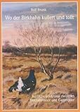 birkhahn jagd  Wo der Birkhahn kullert und tollt: Jagdliche Erlebnisse zwischen Birkhahnmoor und Gamsrevier