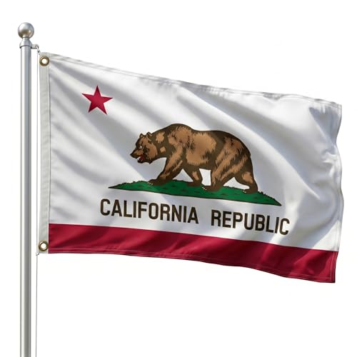 DMSE California State Flag, 2ft x 3ft - Vivid Colors & Crisp Seal Details - Lightweight 100D Polyester with Quad-Stitched Edges (2ft x 3ft)