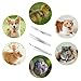 Exircy 3 in 1 Tick Remover Kit, 3 Pack Stainless Steel Tick Tweezers, Ticks Fork and Portable Storage Case for Cats and Dogs