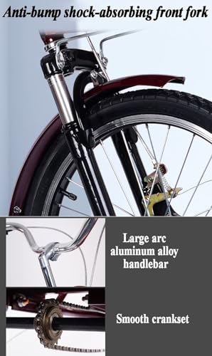 Triciclo Paseo para Adultos con Cabin, 3 Ruedas miniatura 7