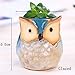 ROSE CREATE 6 Pcs 2.5 Inches Owl Pots, Little Ceramic Succulent Bonsai Pots with a Hole - Pack of 6