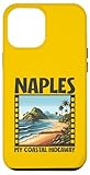 Naples in Florida Designs