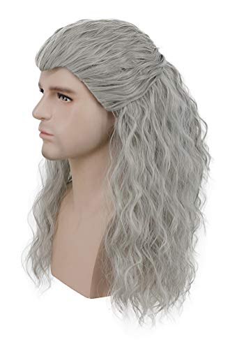 karlery Adult Men Long Curly Wave Silver Gray Wig Halloween Cosplay Anime Costume Party Wig