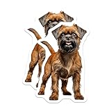 (2 Pack) Brussels Griffon Stickers - Cute Dog Breed Decal - Pet Lover Accessory - 5' On Longest Side - Sticks to Smooth Flat Surfaces - Made in USA - BMCS24876