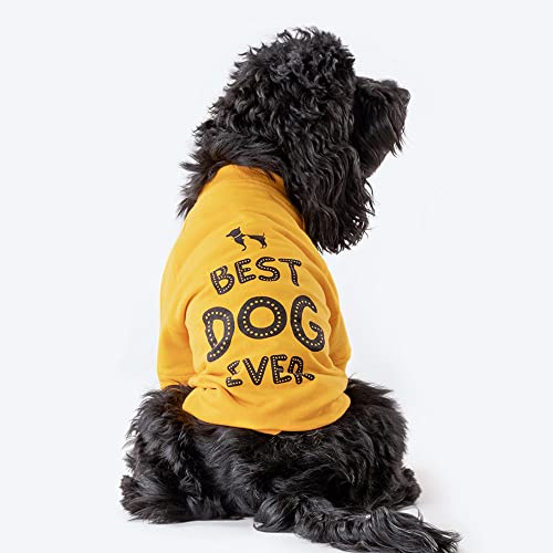 Image of Heads Up For Tails Polyester Huft Best Dog Ever Pet Sweatshirt - Yellow,1 Count