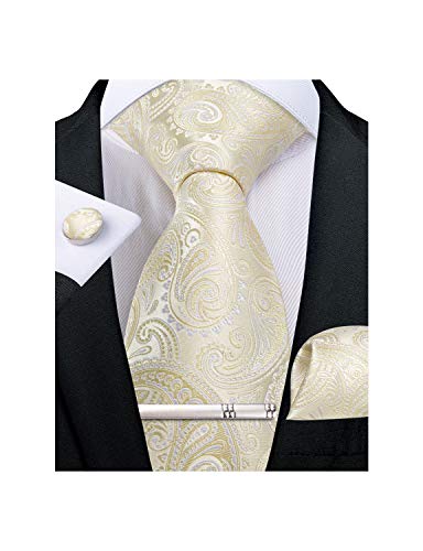 Image of DiBanGu Paisley Ties for Men Silk Necktie and Pocket Square Cufflinks Tie Clip Set Woven Classic Mens Tie for Wedding Party