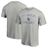 MLB Kids Youth 8-20 Official City Headline Arch Logo Team T-Shirt (US, Numeric, 10, Numeric, 12, Regular, Los Angeles Dodgers - Grey)