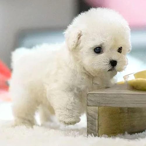 2025 Neuer Roboterhund, Mein realistischer Roboterwelpe, KI-Roboterhund mit laufendem, bellendem Schwanz, Roboterwelpe, der Sich wie EIN echter Welpe verhält Coffee