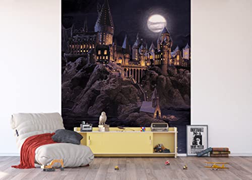 Papier Peint Harry Potter Poudlard Avec Des Personnes Sur Des Barques 252 X 182 Cm