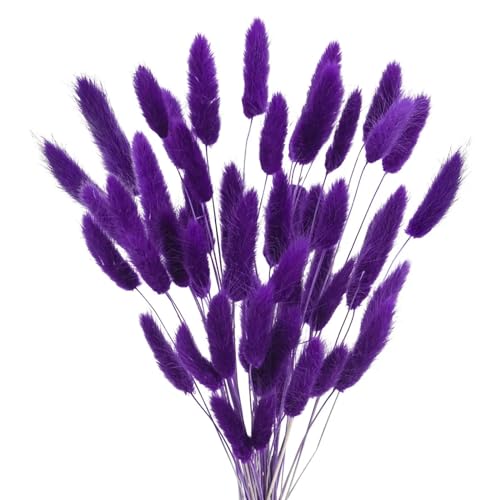 Pampas Grass Decor Tall, 50Pcs 17.72 Inch Bunny Tails