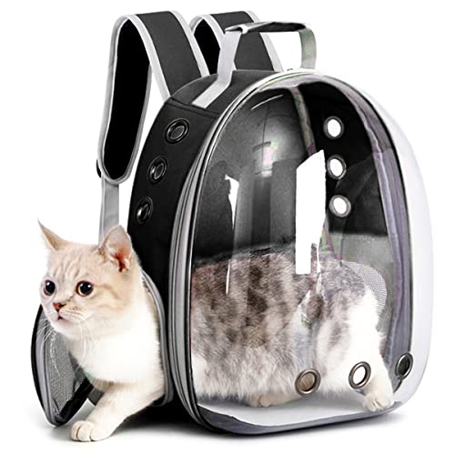 Los mejores Transportines para gato transparentes
