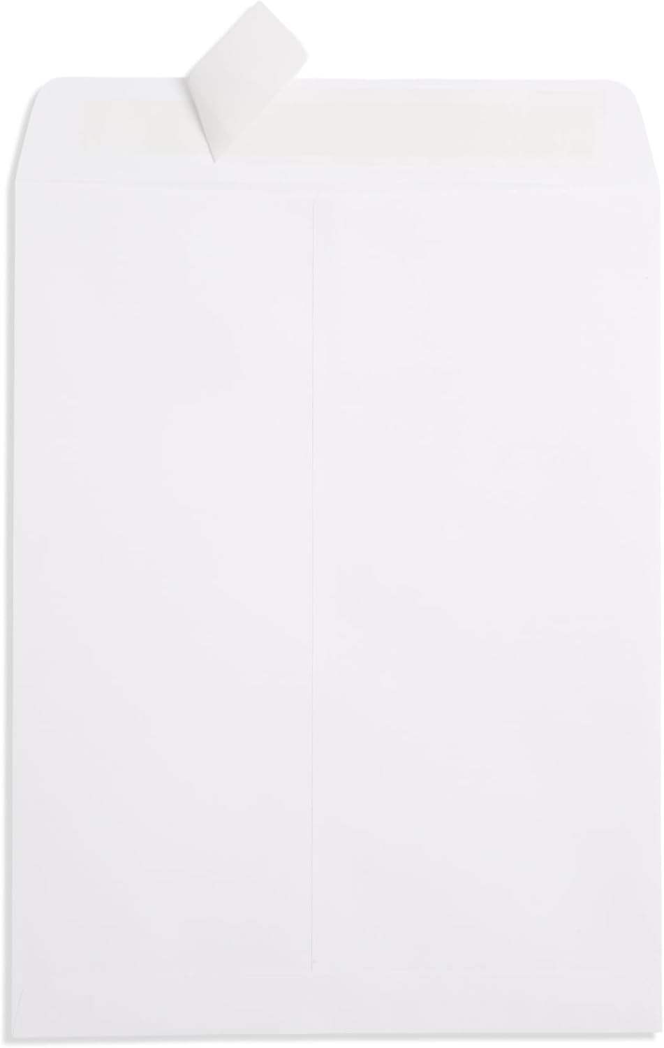 Blue Summit 100 9x12 Envelopes with Window 9 x 12 Large Window Envelopes- Security Tinted, Strong Self Seal, 100 Pack