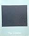 Vija Celmins
