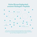 Vital Proteins Marine Collagen 221g – Fisch-Kollagen-Peptide – schöne Haut, Haare & Nägel – geschmacksneutrales Kollagenpulver – hydrolysiertes Meereskollagen Typ 1 & 3