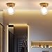 BNTCTC Semi Flush Mount Ceiling Light, G9 Small Double-Layer Glass Lampshade， Retro Style Circle Ceiling Light, Golden Ceiling Disk Ceiling Lamp, Used for Corridor/Balcony/Porch Lighting