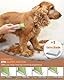 Unibono Leise Hundeschermaschine Katzenrasierer Komplett-Set, Wiederaufladbar Hund Katze Schermaschine wit 4 Multifunktions-Schneidköpfen für Pfoten, Augen, Ohren, Gesicht, Körper, IPX7 Wasserdicht