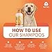 Arf Arf Allay ltch & Irritation Oatmeal Dog Shampoo, Anti-Itch Shampoo, for Allergies, Itching and Dog Skin, Oatmeal Formula with Honey, Pet-Friendly Formula, Cruelty-Free - 16oz