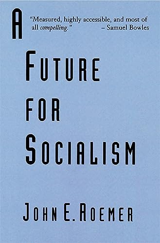 A Future for Socialism view 2