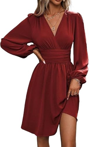 Women's Dress Autumn/Winter Slanted Collar Casual Dresses Lantern Sleeves Pleated Waist Cocktail Dresses (Wine Red,XX-Large)