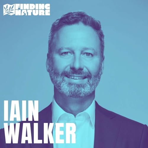 State of Inertia - Iain Walker On The Necessity For New Democracy