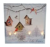 OSW Bird House Winter Scene LED Art Canvas 