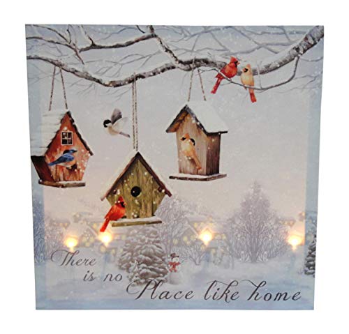 OSW Bird House Winter Scene LED Art Canvas 