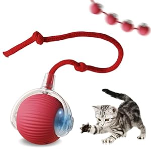 Katzenspielzeug,Interaktives Katzenspielzeug,Powerball Katze,Interaktiver Katzenball für Katzen,mit Led Licht,mit Seil,USB Wiederaufladbarer