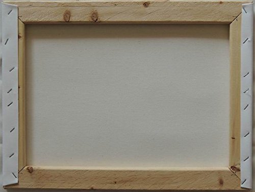 16X20 Inch Brown Framed Animal Canvas Art Repro Parrot &White, Blue Peacocks #TOP1