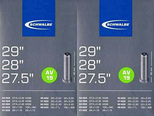 2X Schwalbe AV 19 Schlauch 29 622 Ventil: Auto Schrader AV19 29 Autoventil