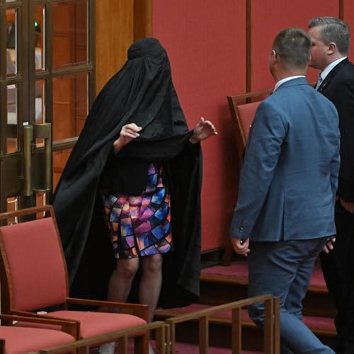 Senate suspended after Pauline Hanson throws 'disrespectful' stunt