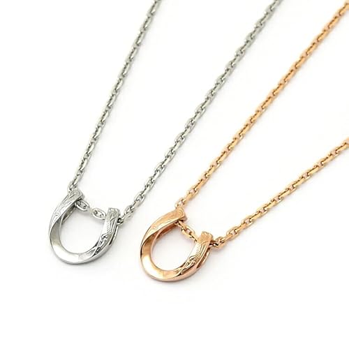 テラグラティア ペアネックレス サージカルステンレス