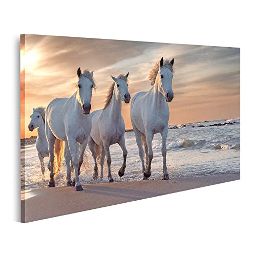 Troupeau de chevaux blancs Camargue tableau sur toile cadre mural France