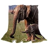 Le cadeau parfait : cette couverture sherpa est un choix de cadeau parfait pour la fête des mères, Thanksgiving, Noël et un anniversaire. La couverture peut également apporter plus de chaleur à vos proches et amis dans différents scénarios.