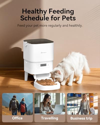 APETDOLA Automatic Cat Feeder, 4L Pet Food Dispenser with Timer, Cat Feeder with 1-6 Meals per Day, Dual Power Supply (AC/DC), Voice Recorder, Automatic Feeders for Cats and Puppy - FD30 (White) - Image 4