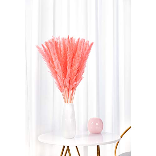 FOREST -V 40 Pcs Natural Dried Pampas Grass,Pampas Grass Decor,Dried Flower Artificial,Dried Reed Plumes for Wedding Decor,White|Brown|Pink| pompous Grass,Flower Arrangement Vase Decor(45CM)