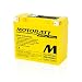 MotoBatt MBTX20U (12V 21 Amp) 280CCA Factory Activated Maintenance Free QuadFlex AGM Battery